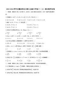 2023-2024学年安徽省淮北市树人高级中学高二（上）期末数学试卷（含解析）