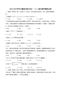 2023-2024学年安徽省阜阳市高一（上）期末数学模拟试卷（含解析）
