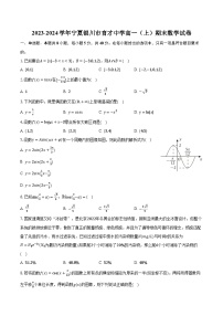 2023-2024学年宁夏银川市育才中学高一（上）期末数学试卷（含解析）