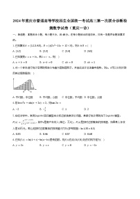 2024年重庆市普通高等学校招生全国统一考试高三第一次联合诊断检测数学试卷（重庆一诊）（含解析）