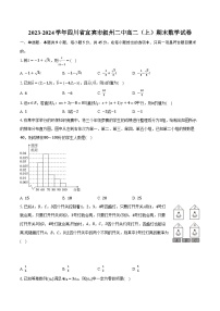 2023-2024学年四川省宜宾市叙州二中高二（上）期末数学试卷（含解析）