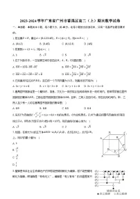 2023-2024学年广东省广州市番禺区高二（上）期末数学试卷（含解析）