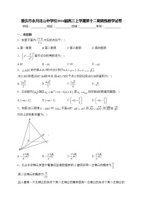 重庆市永川北山中学校2024届高三上学期第十二周周练数学试卷(含答案)