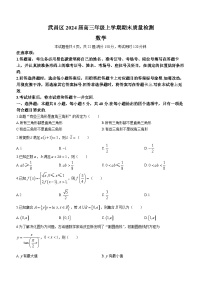 2024届湖北省武汉市武昌区高三上学期期末质量检测试题数学