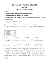福建省龙岩市2023届高三三月教学质量检测数学试题