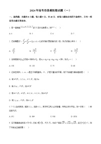 2024年全国普通高中九省联考仿真模拟数学试题（一）含答案解析