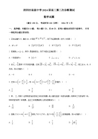 广东省深圳市高级中学2023-2024学年高三上学期第三次诊断测试数学试题含答案解析