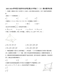 2023-2024学年四川省泸州市泸县重点中学高二（上）期末数学试卷（含解析）