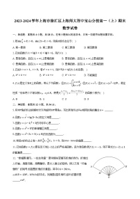 2023-2024学年上海市徐汇区上海师大附中宝山分校高一（上）期末数学试卷（含解析）