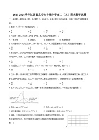 2023-2024学年江西省宜春市丰城中学高二（上）期末数学试卷（含解析）