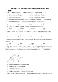 （决胜高考）2024年高考数学立体几何初步小专题（8+3+3）特训