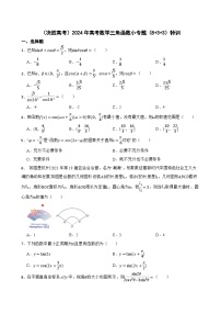（决胜高考）2024年高考数学三角函数小专题（8+3+3）特训