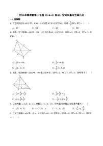 2024年高考数学小专题（8+4+4）特训：空间向量与立体几何