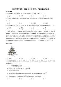 2024年高考数学小专题（8+4+4）特训：平面向量及其应用