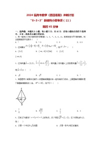 2024高考数学百日逐题计划“8+3+3”新结构选填专项（11）