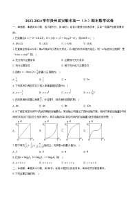 2023-2024学年贵州省安顺市高一（上）期末数学试卷（含解析）