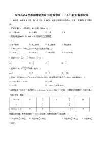 2023-2024学年湖南省娄底市涟源市高一（上）期末数学试卷（含解析）