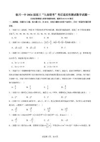 第19套：2024临川一中九省联考考后高三上学期适应性考试数学试卷与答案
