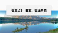 专题四　微重点9　截面、交线问题--高三高考数学复习-PPT