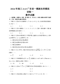 158，广东省珠海市第一中学2024届高三下学期迎3.13省一模新改革数学模拟训练一试题