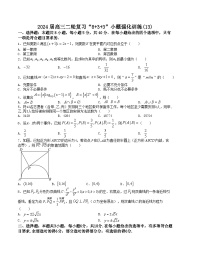 “8+3+3”小题强化训练（13）-2024届高三数学二轮复习《8+3+3》小题强化训练（新高考九省联考题型）