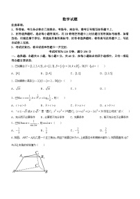 甘肃省张掖市某校2023-2024学年高三下学期模拟考数学试题