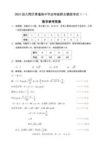 2024届大湾区普通高中毕业班级联合模拟考试数学试卷及评分细则