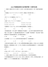 2024年湖南省邵阳市高考数学第一次联考试卷（含解析）