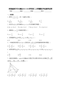 青海省西宁市大通县2023-2024学年高二上学期期末考试数学试卷(含答案)