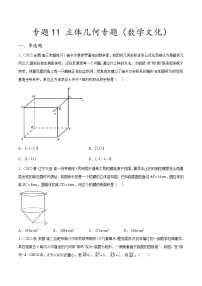 新高考数学二轮复习创新题型专题11 立体几何专题（数学文化）（2份打包，原卷版+解析版）