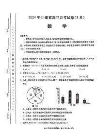 2024甘肃省高三下学期3月月考试卷（一诊）数学试题含答案