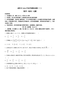 陕西省咸阳市2024届高三下学期高考模拟检测(二)数学（理科）试题+