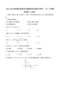 湖北省黄冈市黄梅县育才高级中学2023-2024学年高一下学期2月月考数学试卷