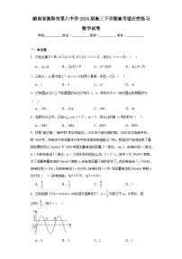 湖南省衡阳市第八中学2024届高三下学期高考适应性练习数学试卷及答案