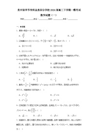 贵州省毕节市织金县部分学校2024届高三下学期一模考试数学试题（一）（含解析）