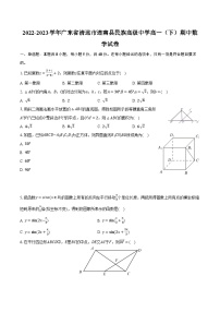 2022-2023学年广东省清远市连南县民族高级中学高一（下）期中数学试卷（含解析）