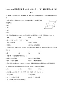 2022-2023学年四川省雅安市天立学校高二（下）期中数学试卷（理科）（含解析）
