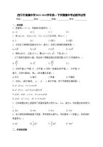 西宁市海湖中学2022-2023学年高一下学期期中考试数学试卷(含答案)