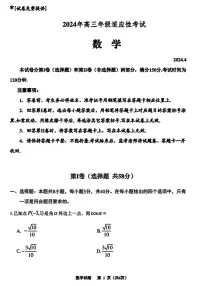 贵州省2024年高三年级下学期4月适应性考试 数学试题及答案