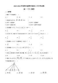 广东省东莞市嘉荣外国语学校2023-2024学年高一下学期3月月考数学试卷（原卷版+解析版）