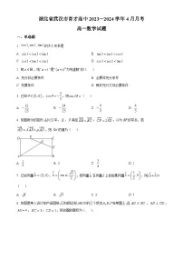 湖北省武汉市育才高级中学2023-2024学年高一下学期4月月考数学试题（原卷版+解析版）