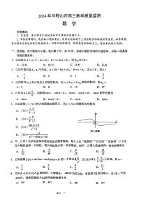 安徽省2024年马鞍山市高三教学质量监测（马鞍山二模）-数学试卷与答案