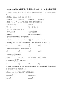 2023-2024学年吉林省通化市梅河口五中高一（上）期末数学试卷（含详细答案解析）