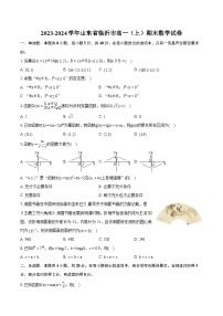 2023-2024学年山东省临沂市高一（上）期末数学试卷(含详细答案解析)