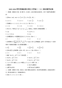 2023-2024学年河南省周口恒大中学高一（上）期末数学试卷(含详细答案解析)