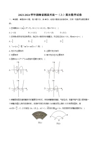 2023-2024学年湖南省湘西州高一（上）期末数学试卷(含详细答案解析)