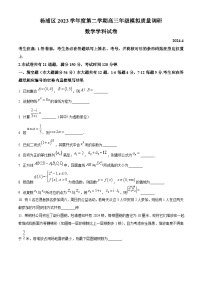 上海市杨浦区2024届高三下学期二模质量调研数学试卷（原卷版+解析版）