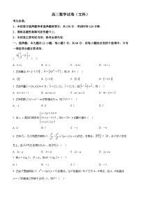 青海省部分学校2023-2024学年高三下学期联考模拟预测文科数学试题（原卷版+解析版）