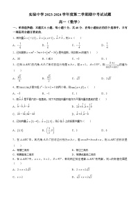 江苏省南通市海安市实验中学2023-2024学年高一下学期4月期中考试数学试题(无答案)