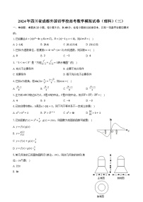 2024年四川省成都外国语学校高考数学模拟试卷（理科）（三）（含解析）